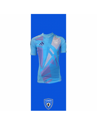 Maillot Gardien 2024/2025 - Bleu en linge