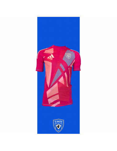 Maillot Gardien 2024/2025 - Magenta la livraison gratuite