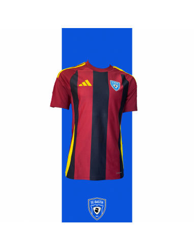 Maillot Gardien 2024/2025 - Marine/Bordeau de France