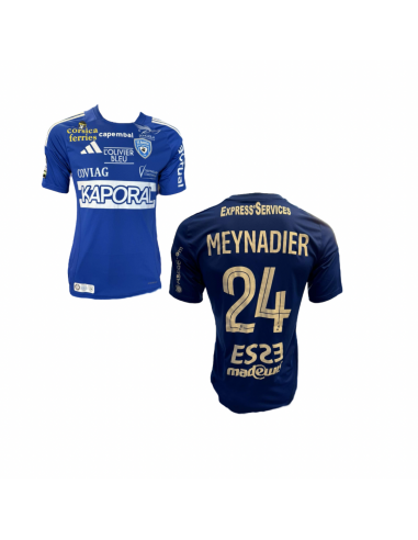 Maillot porté Pau - Bastia / MEYNADIER Tom s'inspire de l'anatomie humaine